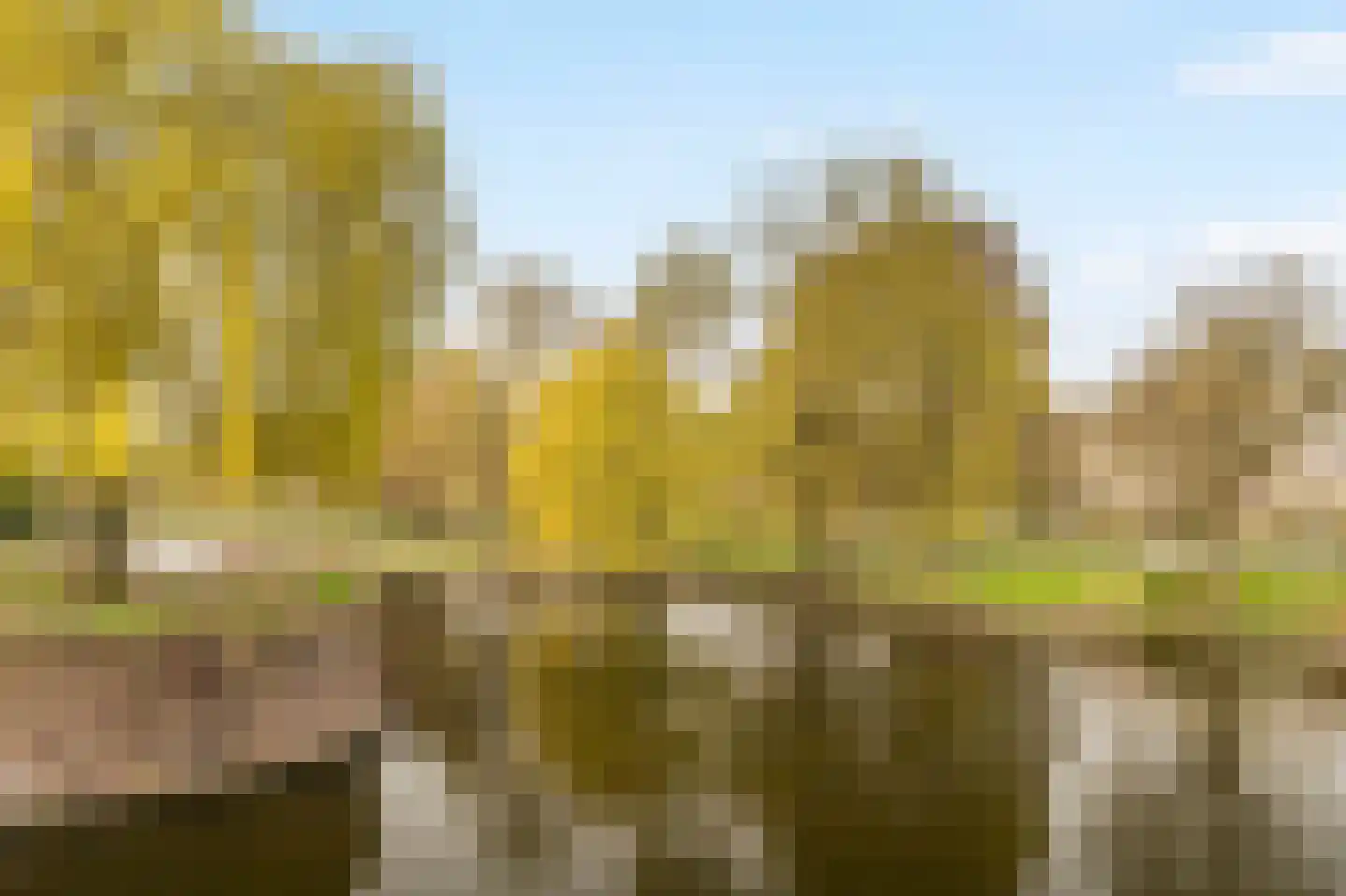 Houtmankade 61 1 Amsterdam thumbnail 25