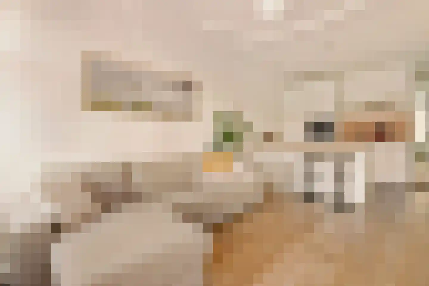 Houtmankade 61 1 Amsterdam thumbnail 5