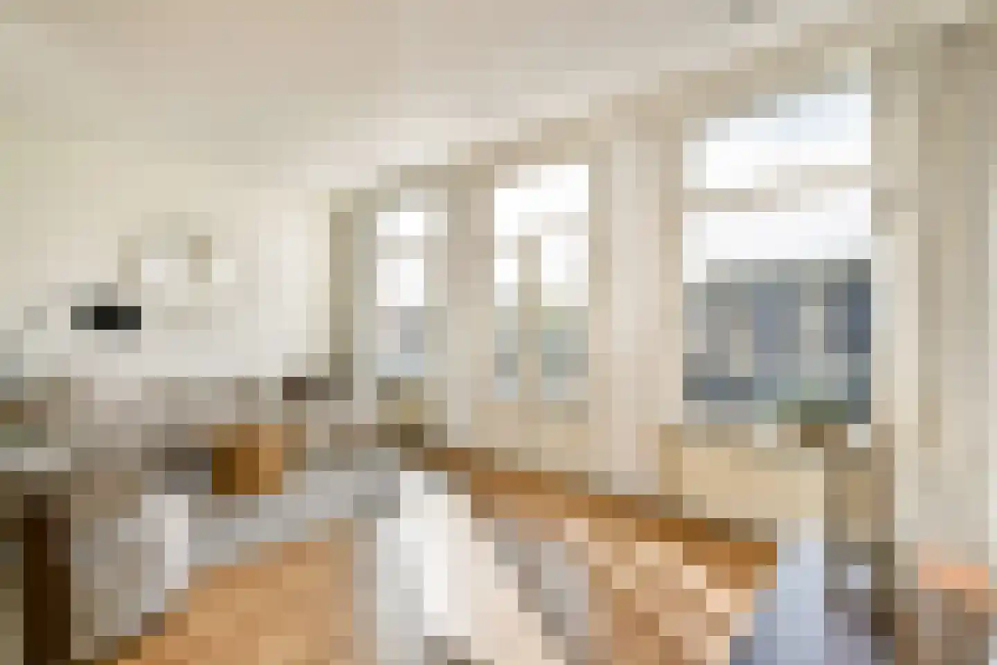 Houtmankade 61 3 Amsterdam thumbnail 8