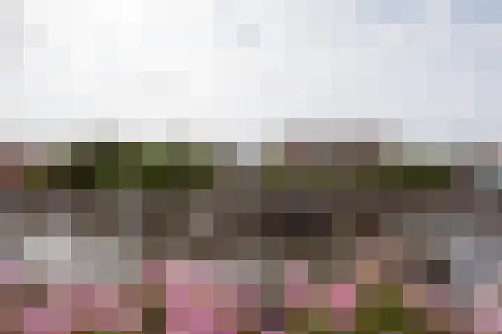Houtmankade 71 3 Amsterdam thumbnail 13