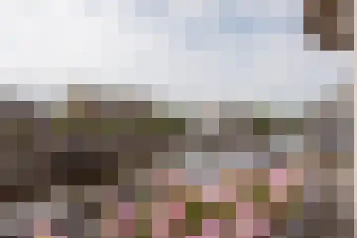 Houtmankade 71 3 Amsterdam thumbnail 15