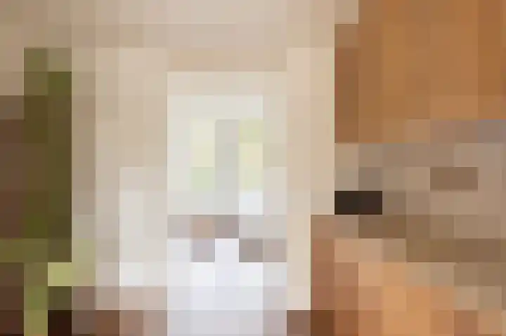 Houtmankade 71 3 Amsterdam thumbnail 19