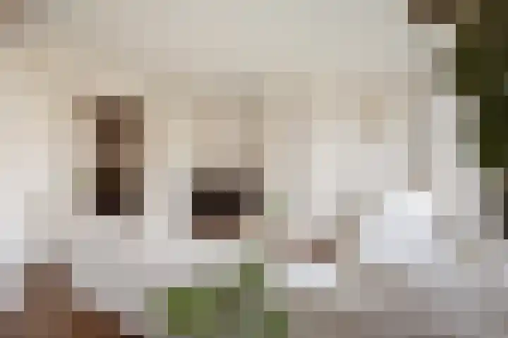 Houtmankade 71 3 Amsterdam thumbnail 23