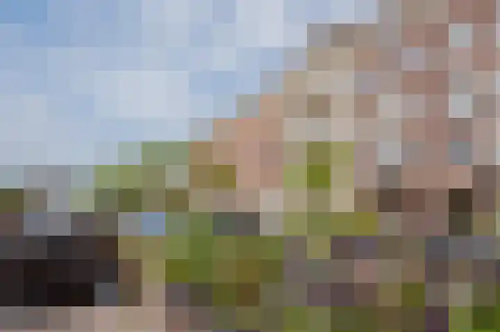Houtmankade 71 3 Amsterdam thumbnail 27