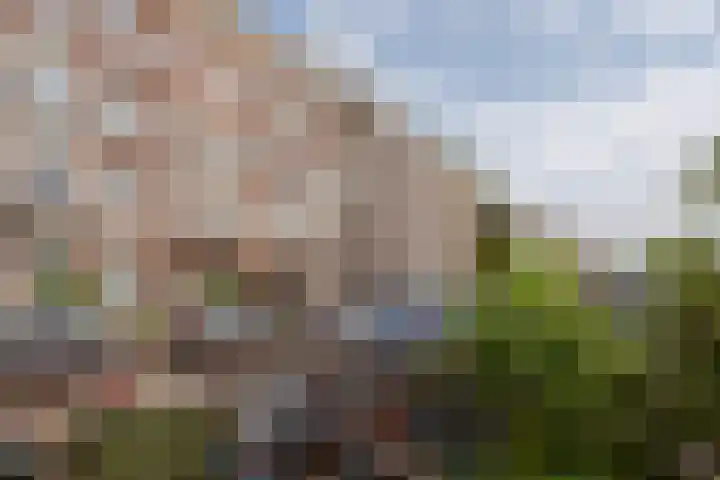 Houtmankade 71 3 Amsterdam thumbnail 28