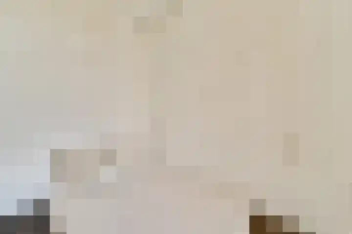 Houtmankade 72 2 Amsterdam thumbnail 14