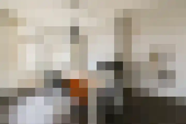 Houtmankade 72 2 Amsterdam thumbnail 6