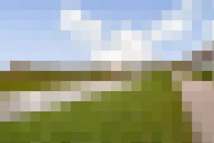 Houtmankade 72 4A Amsterdam thumbnail 16