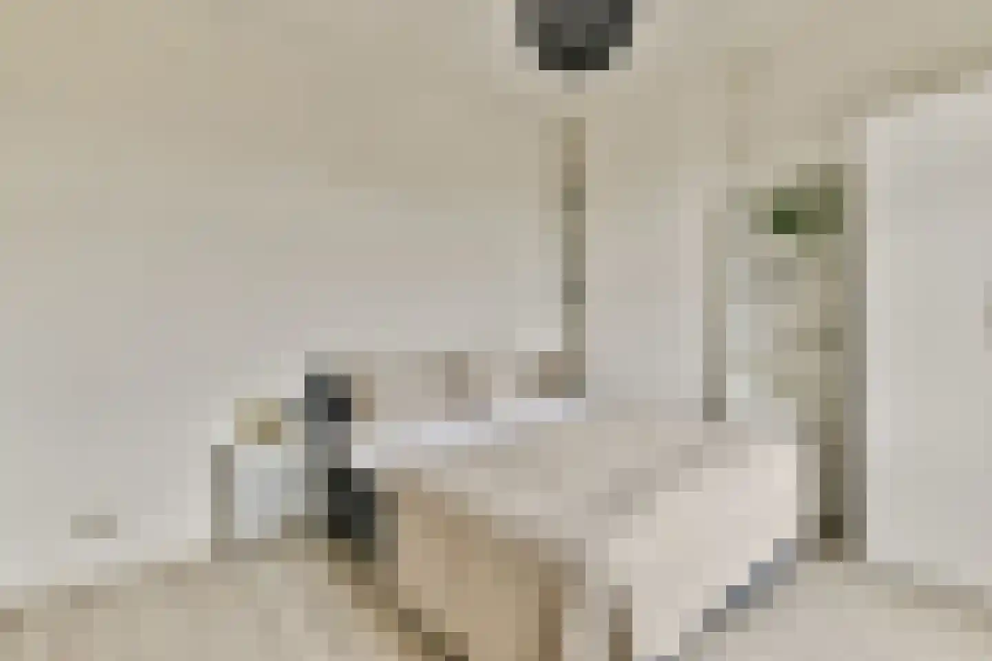 Houtmankade 72 4A Amsterdam thumbnail 9