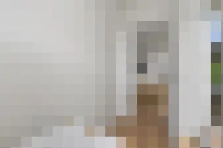 Houtmankade 74 2 Amsterdam thumbnail 15
