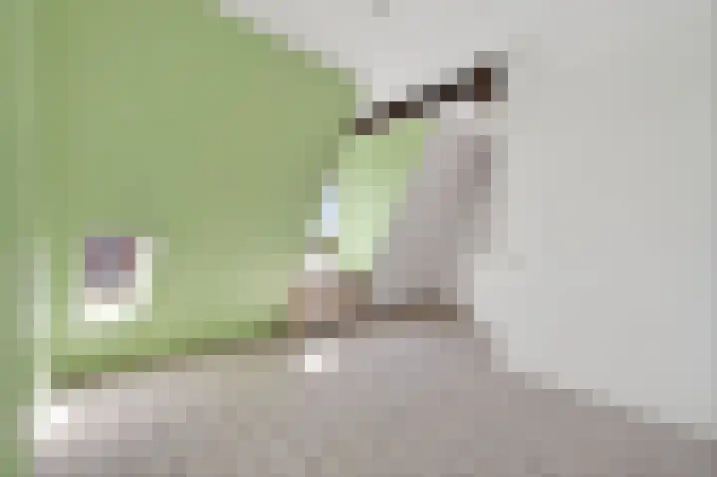 Houtmankade 74 2 Amsterdam thumbnail 17