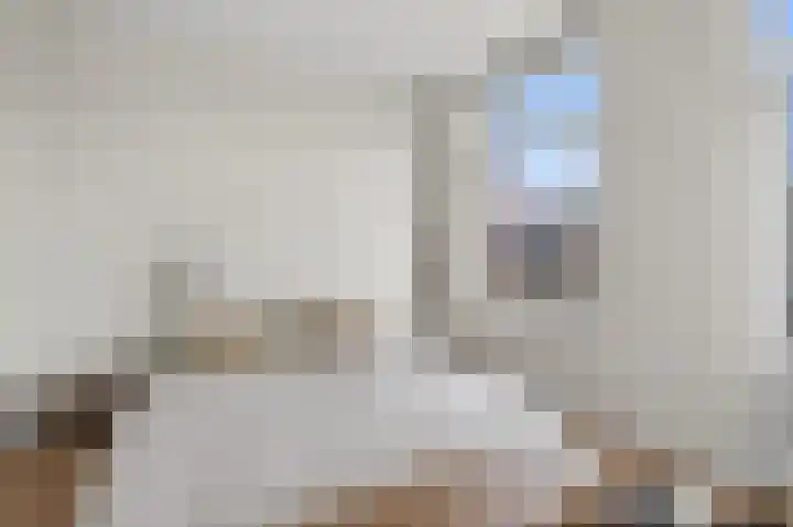Houtmankade 74 2 Amsterdam thumbnail 18