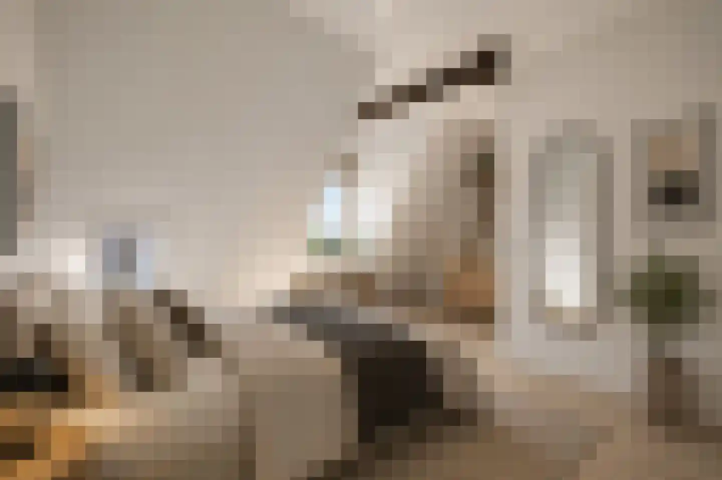 Houtmankade 74 2 Amsterdam thumbnail 18