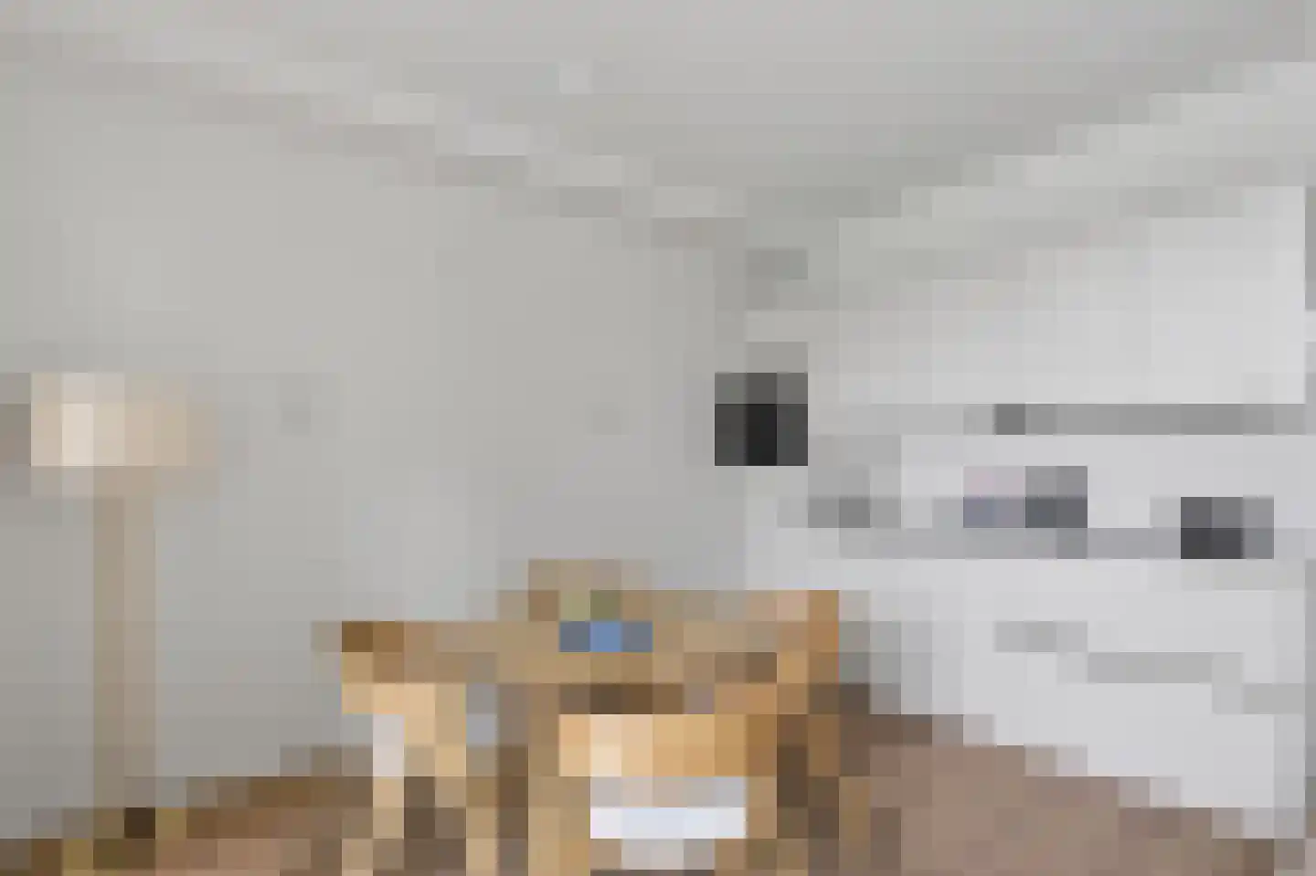 Houtmankade 74 2 Amsterdam thumbnail 6