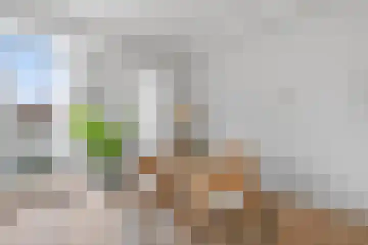 Houtmankade 74 2 Amsterdam thumbnail 8