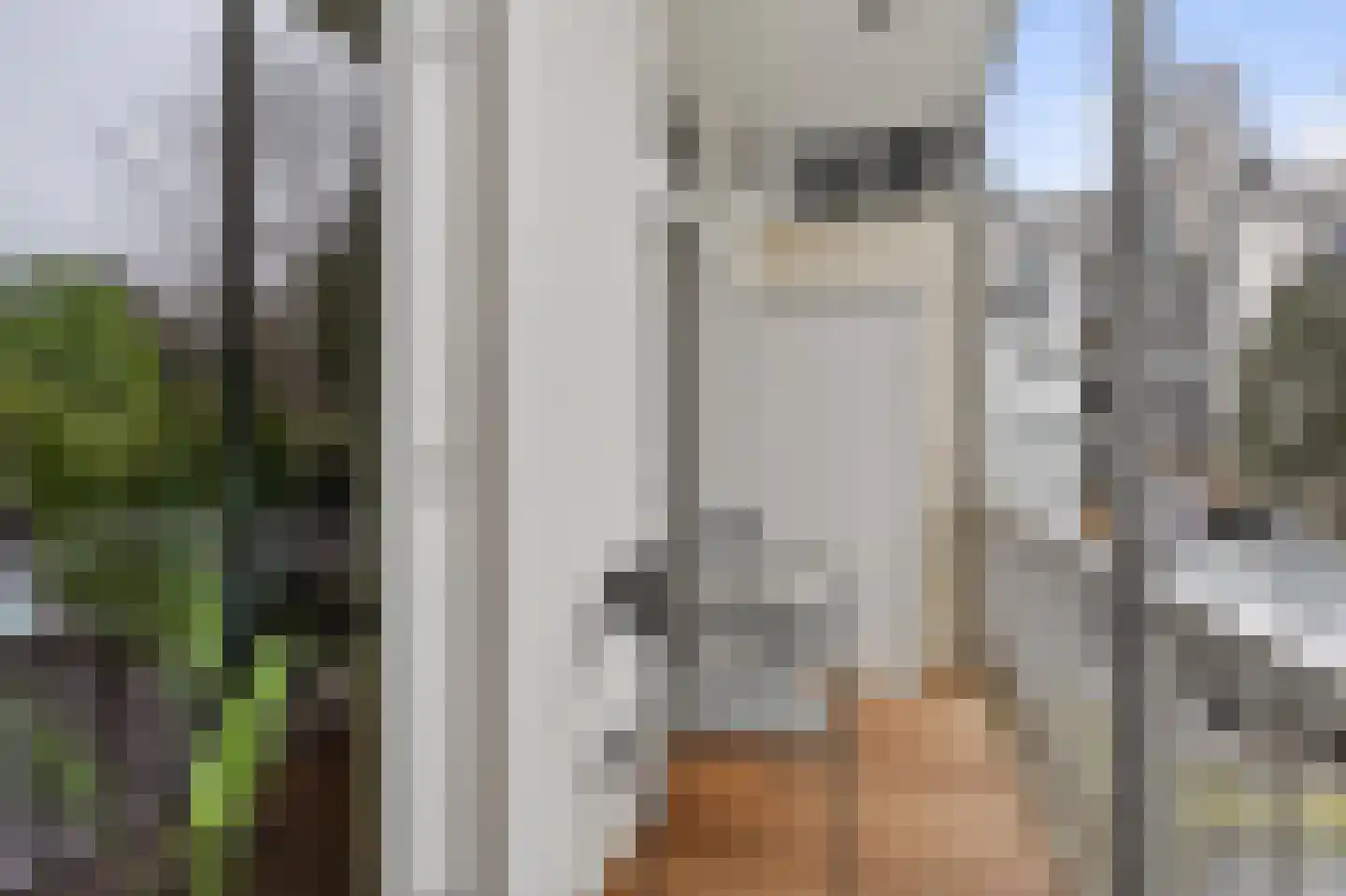 Houtmankade 74 2 Amsterdam thumbnail 9