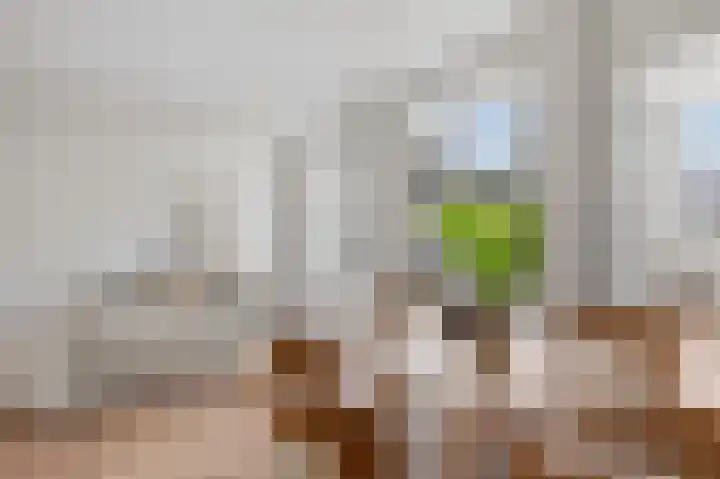 Houtmankade 74 2 Amsterdam thumbnail 9