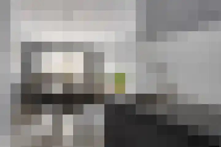 Houtmanstraat 31 Terneuzen thumbnail 17