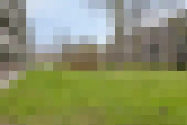 Houtmanstraat 31 Terneuzen thumbnail 5