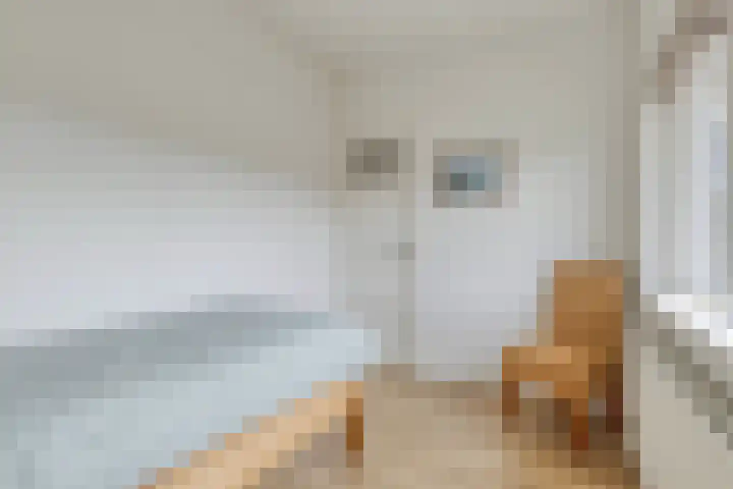 Houtmanstraat 5 Alkmaar thumbnail 21