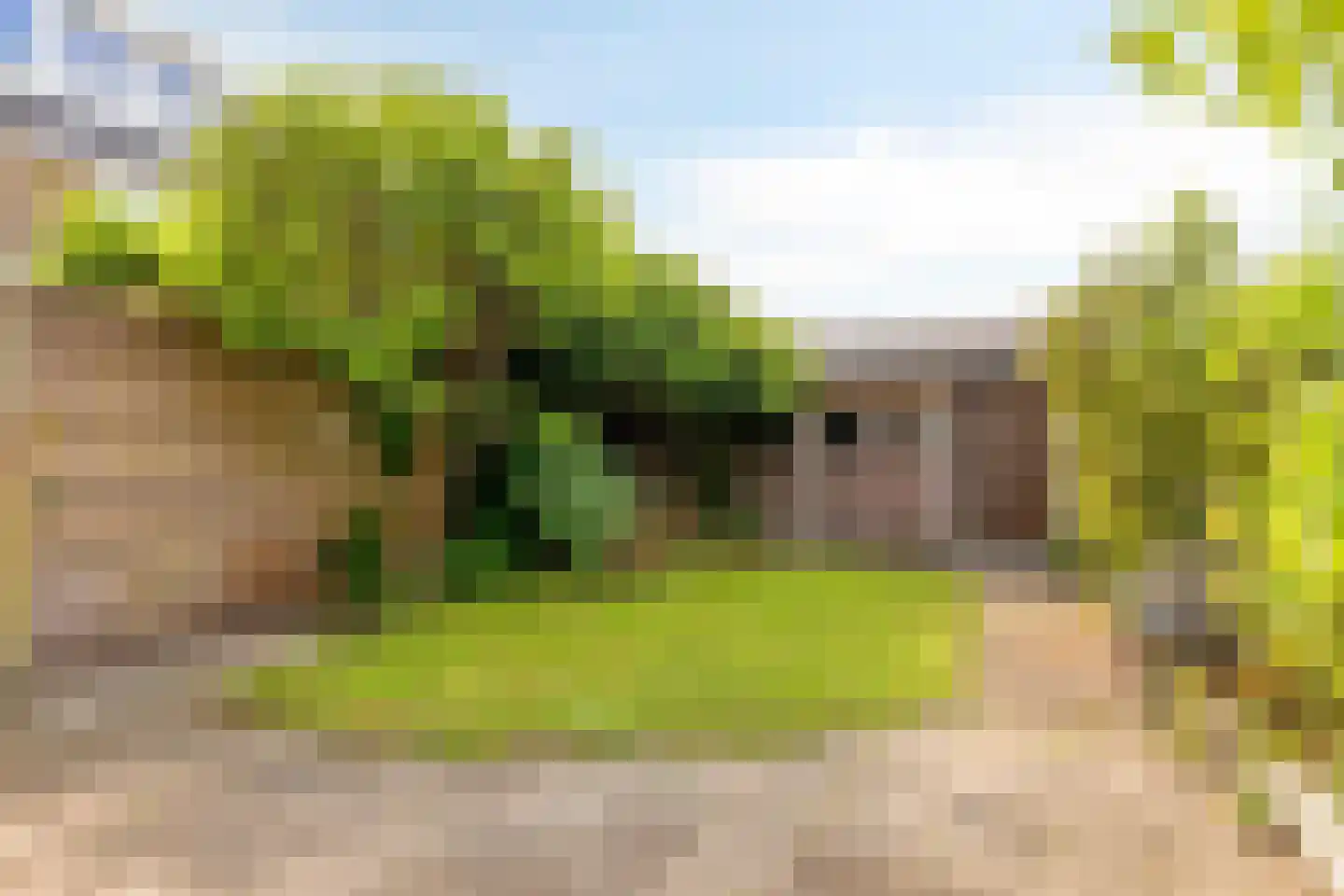Houtmanstraat 5 Alkmaar thumbnail 35