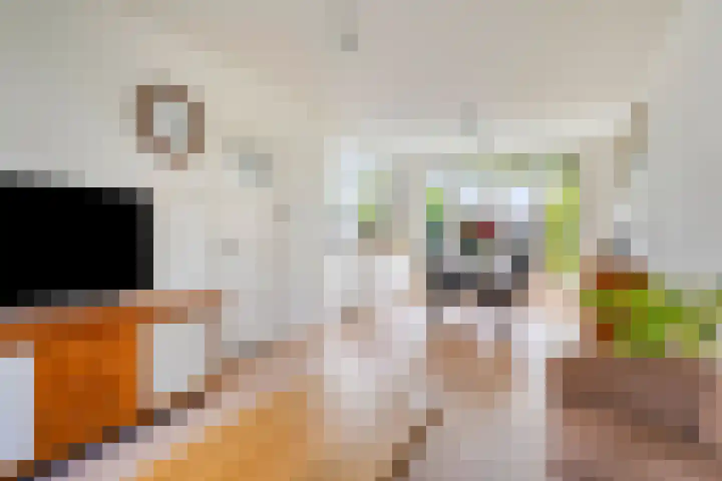 Houtmanstraat 5 Alkmaar thumbnail 4