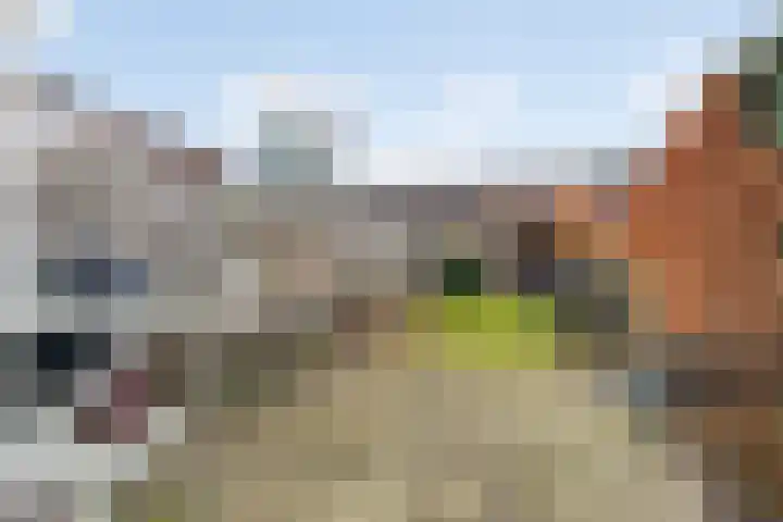 Houtmanstraat 59 Breda thumbnail 52