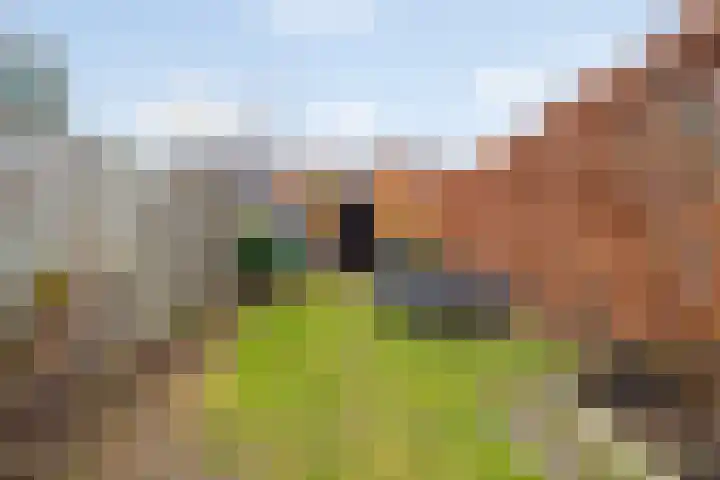 Houtmanstraat 59 Breda thumbnail 54