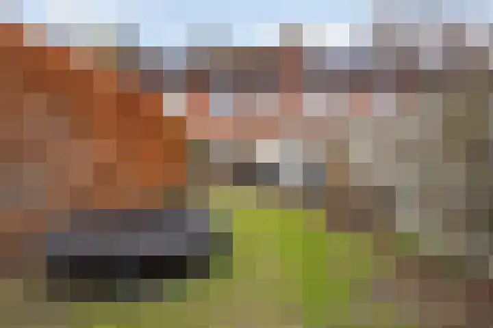 Houtmanstraat 59 Breda thumbnail 55
