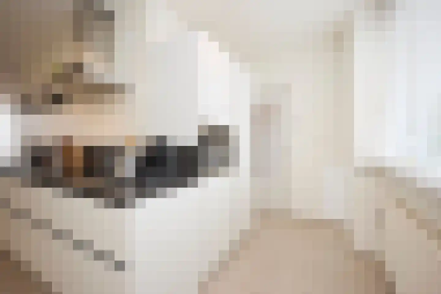 Houtmanstraat 65 Terneuzen thumbnail 5