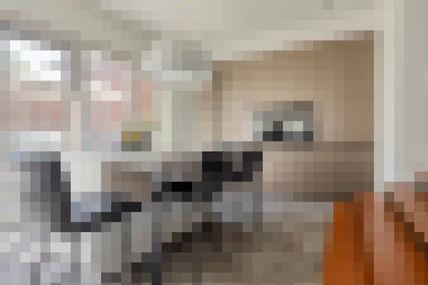 Houtmarkt 4 e Hulst thumbnail 20