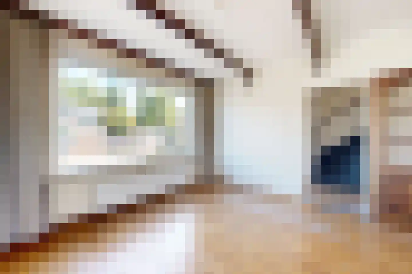 Houtmolen 12 Dinteloord thumbnail 11