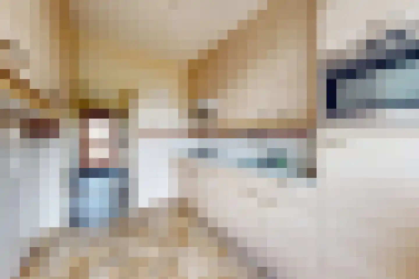 Houtmolen 12 Dinteloord thumbnail 21