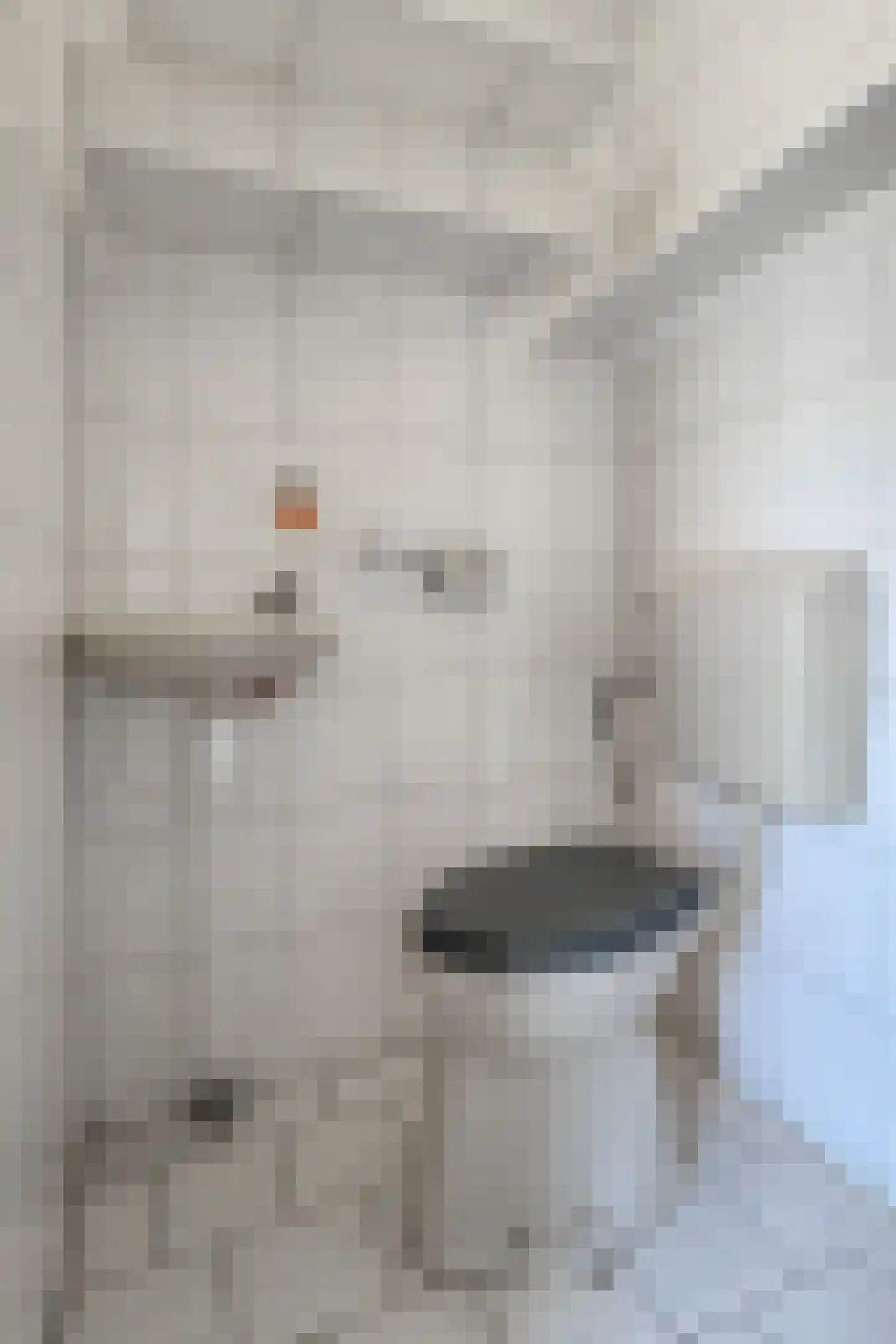 Houtmolen 12 Dinteloord thumbnail 22