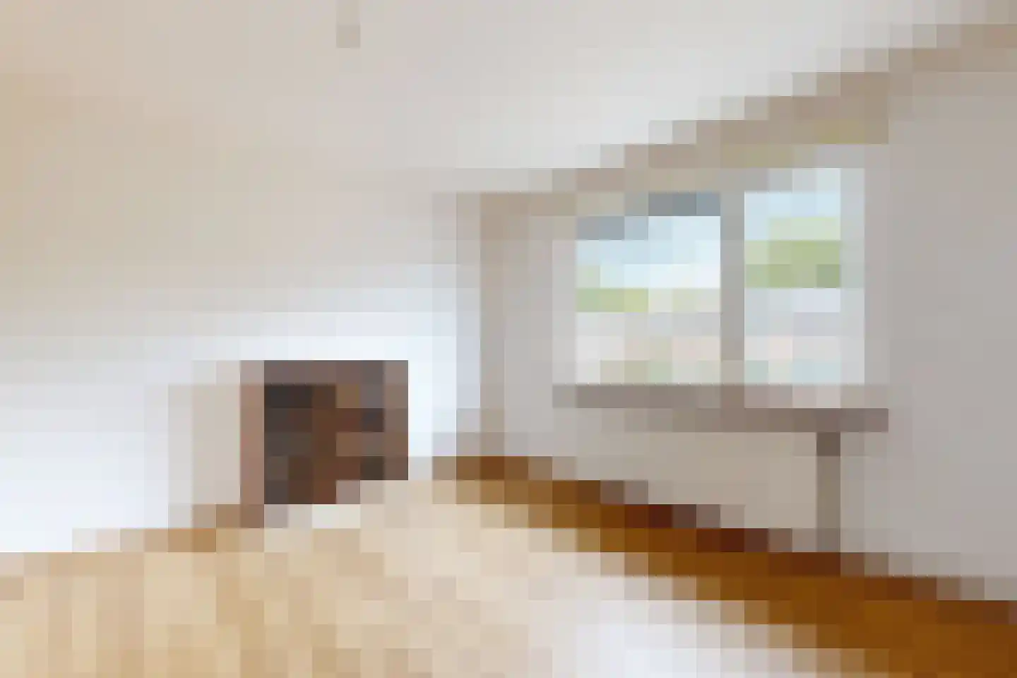 Houtmolen 12 Dinteloord thumbnail 29