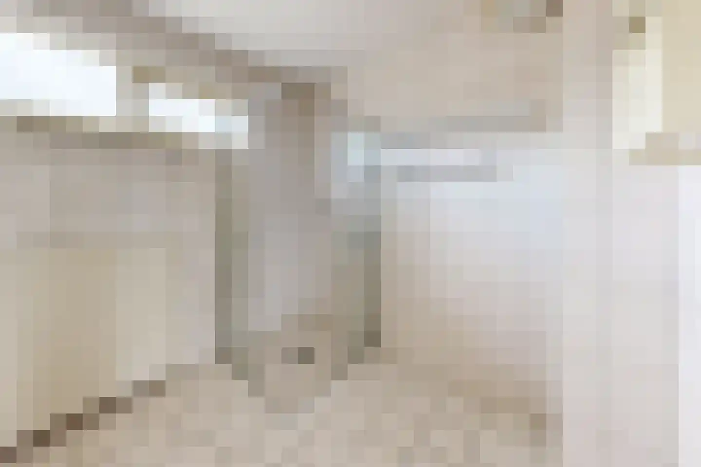 Houtmolen 12 Dinteloord thumbnail 37