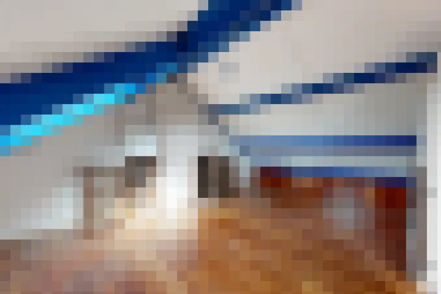 Houtmolen 12 Dinteloord thumbnail 44