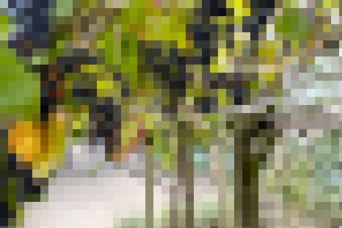 Houtmolen 12 Dinteloord thumbnail 53