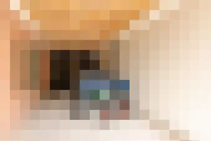 Houtmolen 15 Makkum thumbnail 17