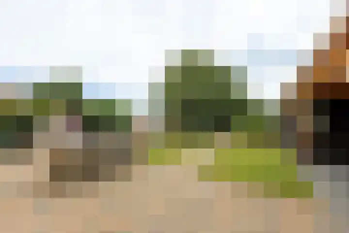 Houtmolen 15 Makkum thumbnail 18