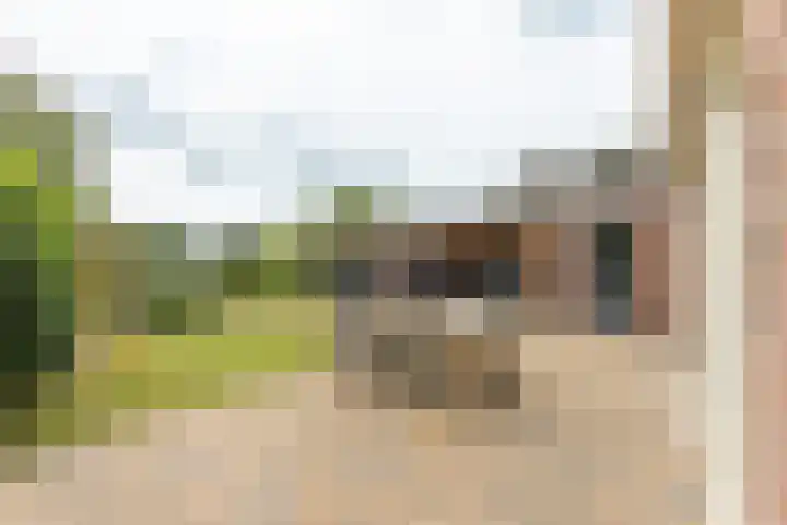 Houtmolen 15 Makkum thumbnail 19