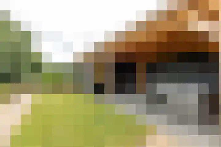 Houtmolen 15 Makkum thumbnail 21