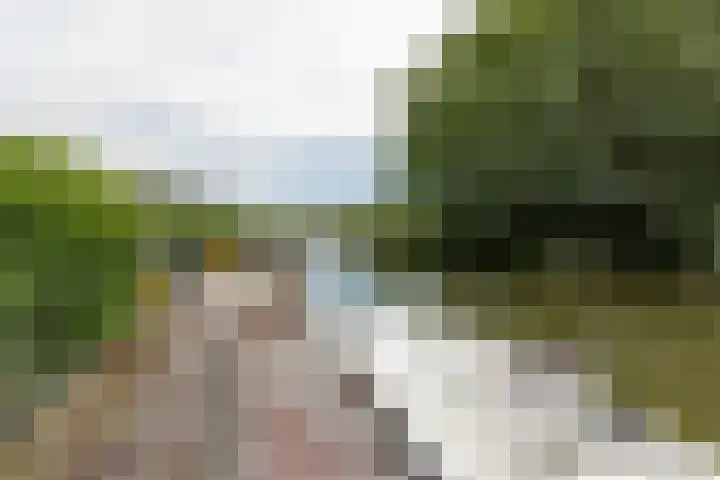 Houtmolen 15 Makkum thumbnail 22