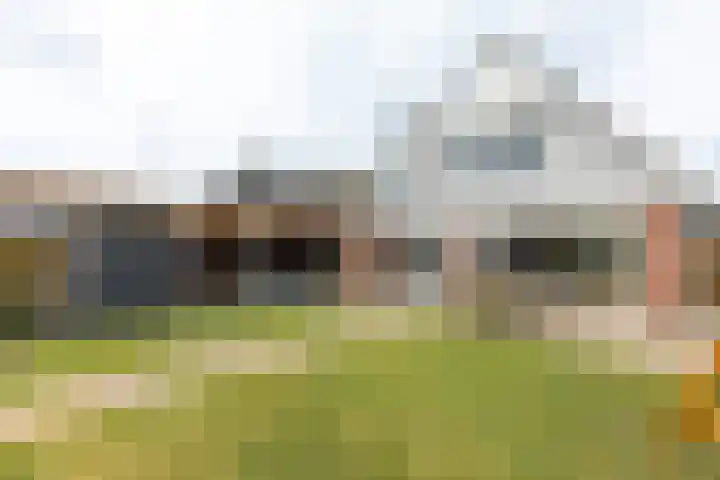 Houtmolen 15 Makkum thumbnail 24