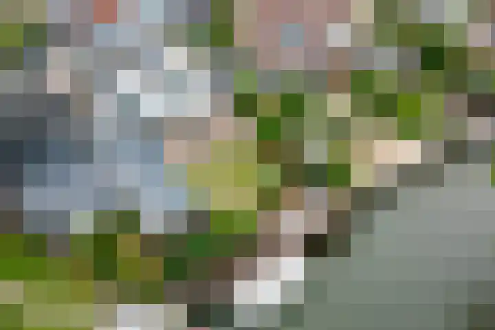 Houtmolen 15 Makkum thumbnail 25