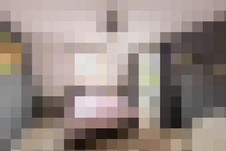 Houtmolen 15 Makkum thumbnail 31