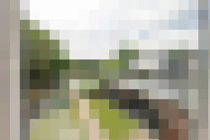 Houtmolen 15 Makkum thumbnail 32