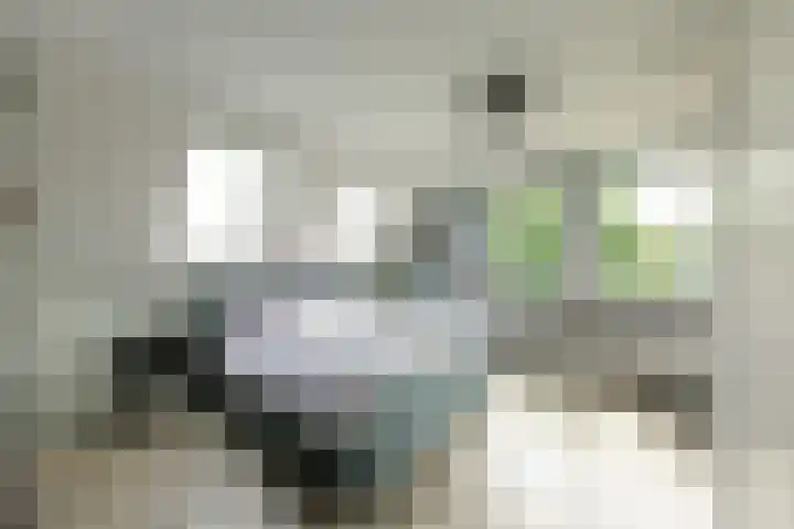 Houtmolen 15 Makkum thumbnail 34