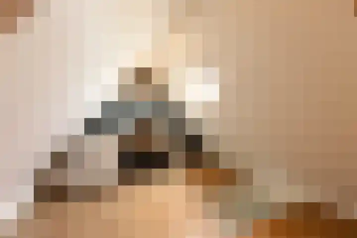 Houtmolen 15 Makkum thumbnail 37