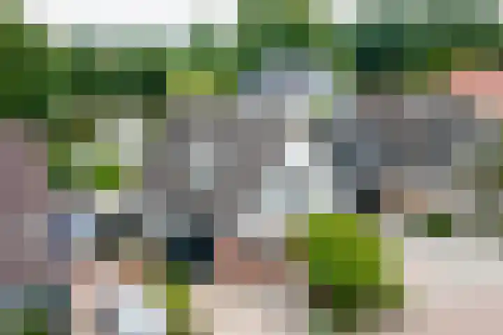 Houtmolen 15 Makkum thumbnail 38